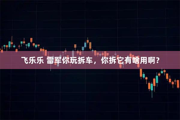 飞乐乐 雷军你玩拆车,你拆它有啥用啊?
